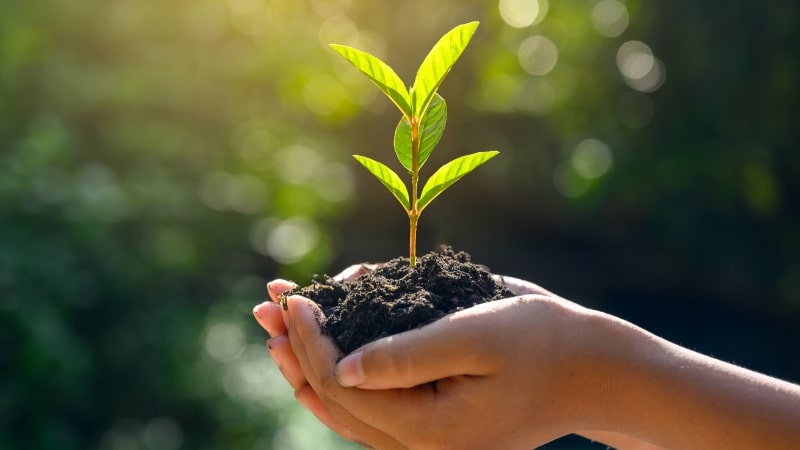 Searchable, description alt text for the image